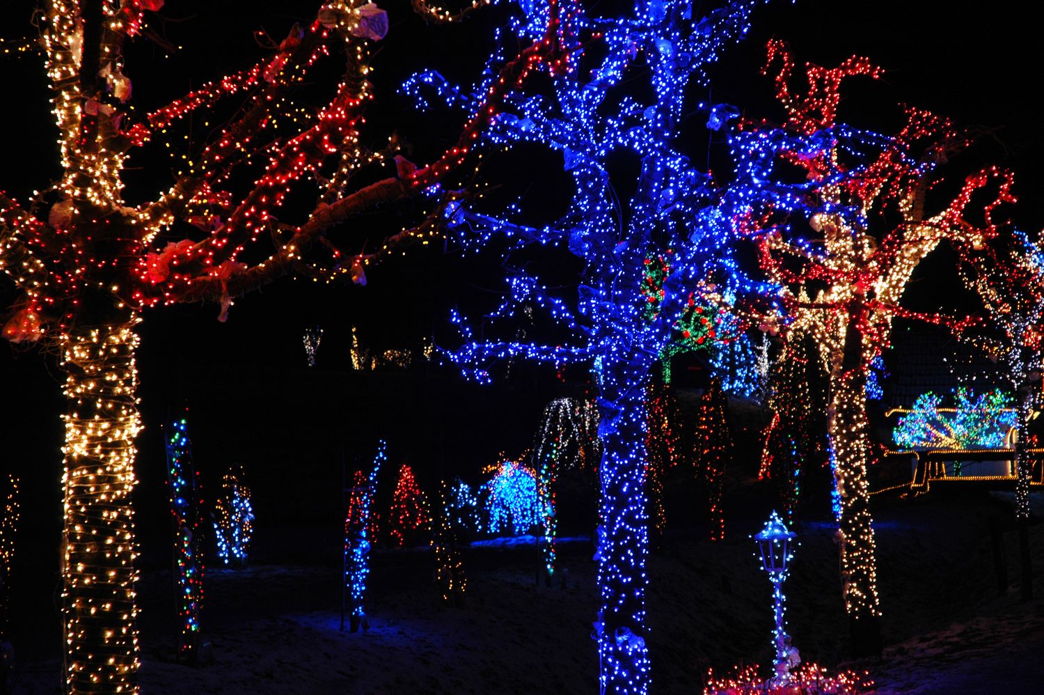 Where to Find the Best Christmas Light Displays in Indiana - TalkToTucker.com