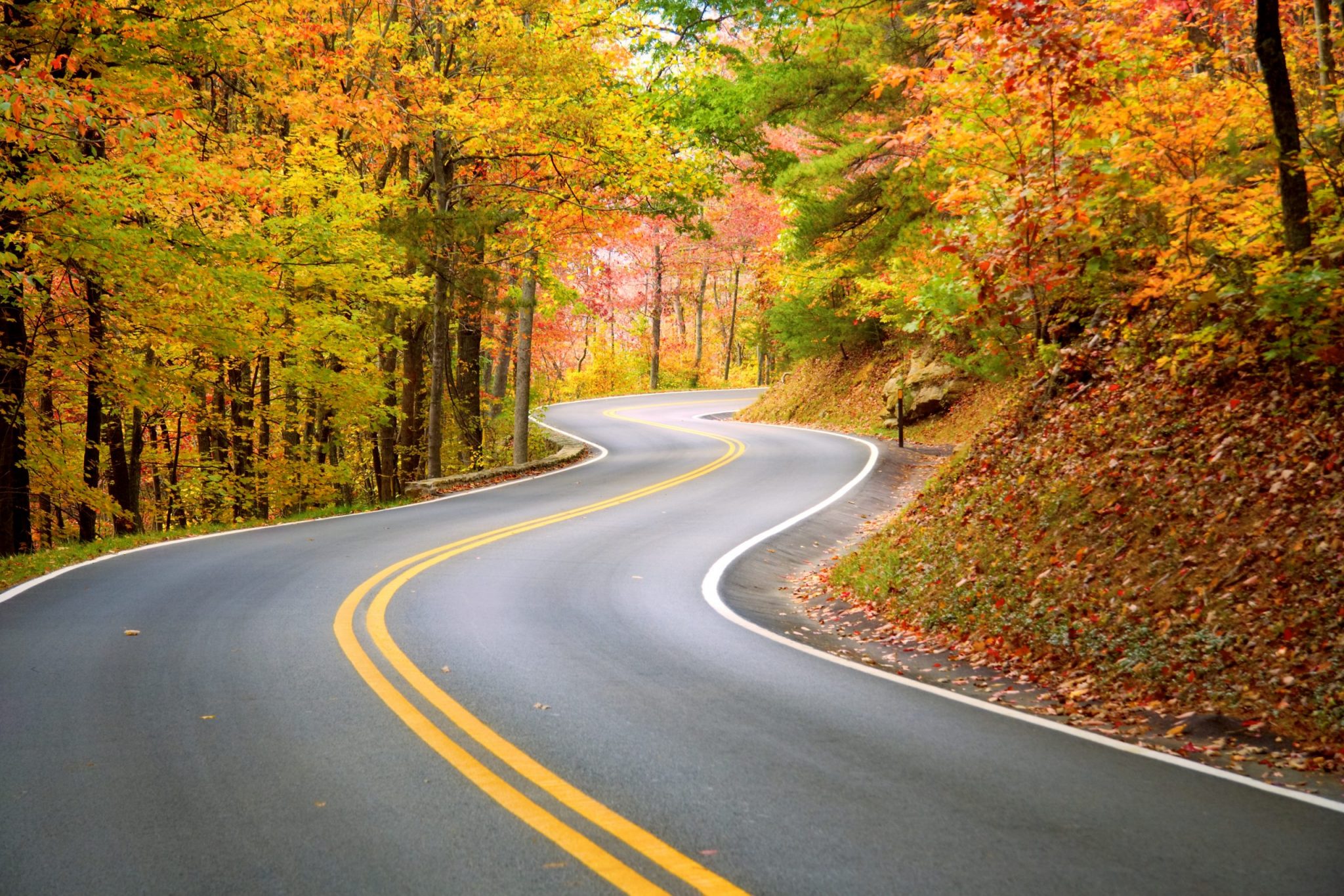 Best Places to See the Fall Leaves Change in Indiana in 2020