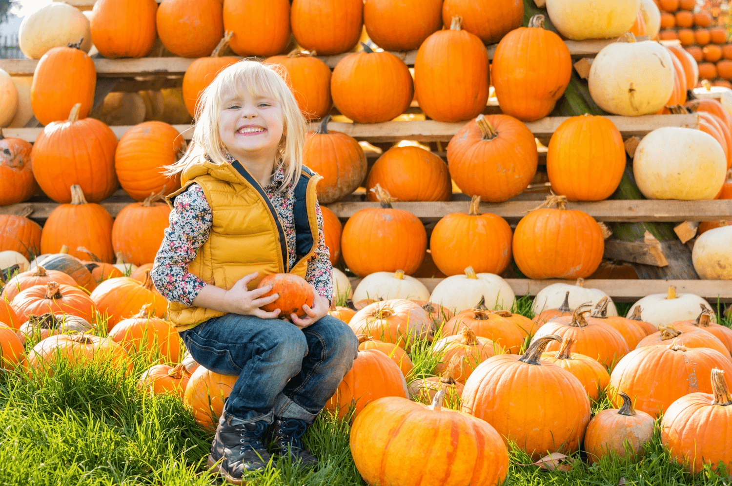 Indiana’s Pumpkin Patches The Best Places to Go in 2020